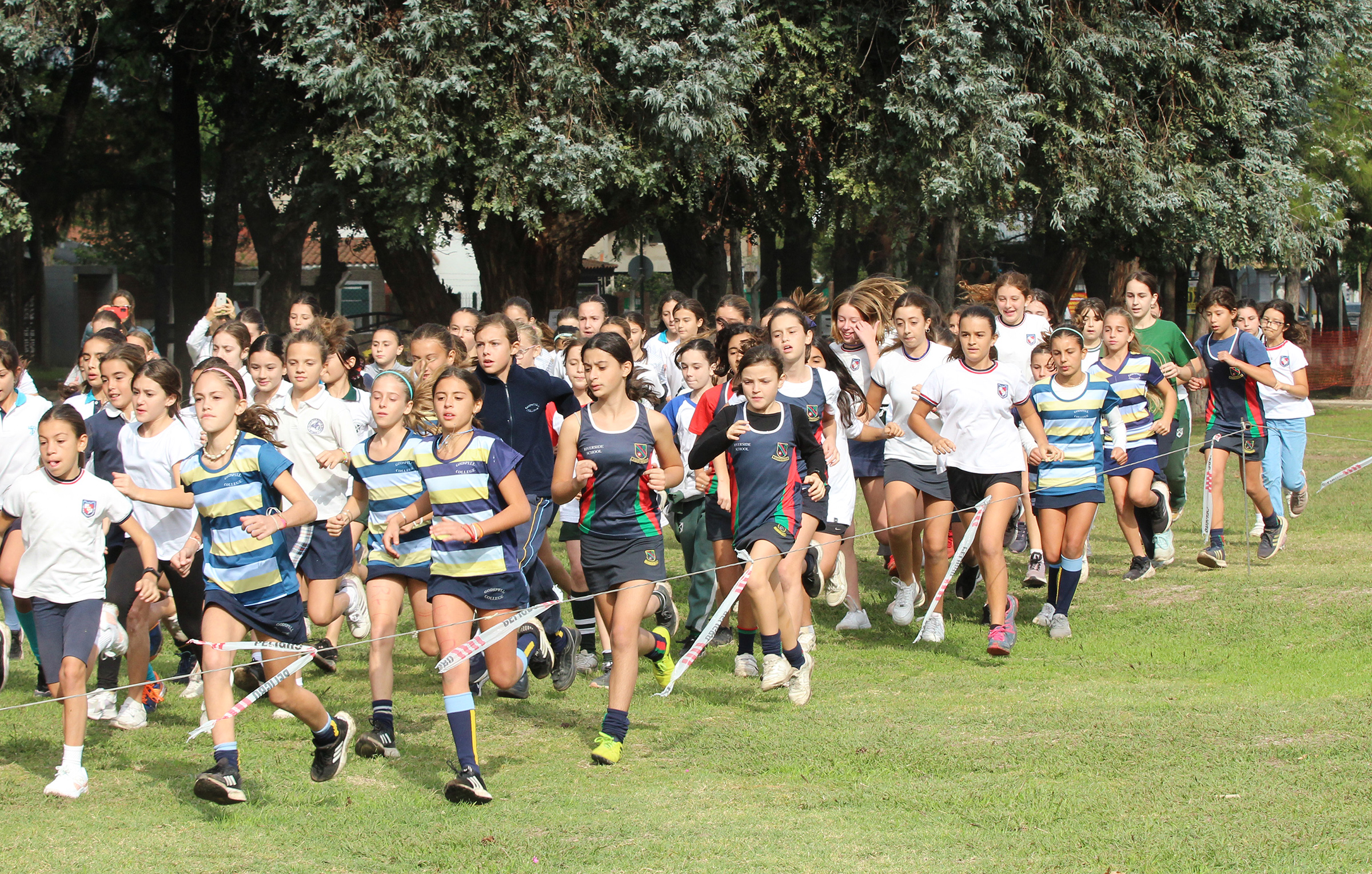 PE Programs